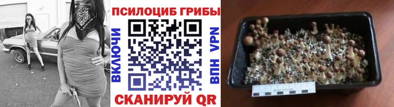Псилоцибиновые грибы прущие грибы  Купить  Липки 